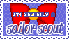 Secret Scout Stamp