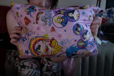 Women Of The DC Universe Pillow!