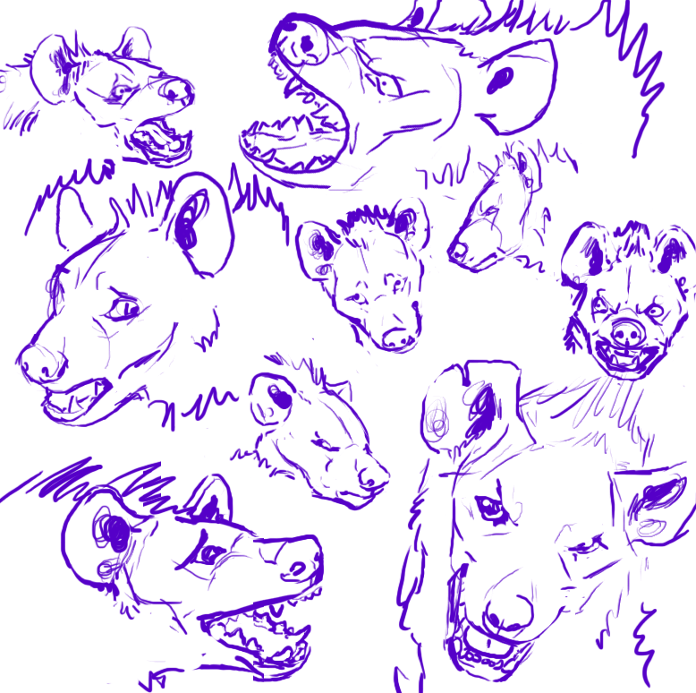 Hyena Expressions