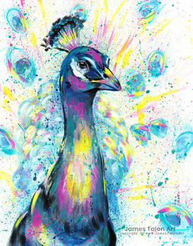 Splatter Peacock
