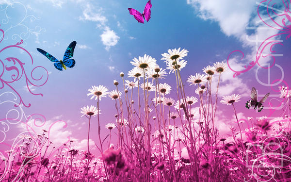 flores y mariposas by bihaus on DeviantArt flores y mariposas by bihaus on DeviantArt