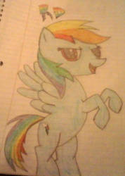 Rainbow Dash~