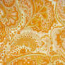 Texture-Orange Paisleys