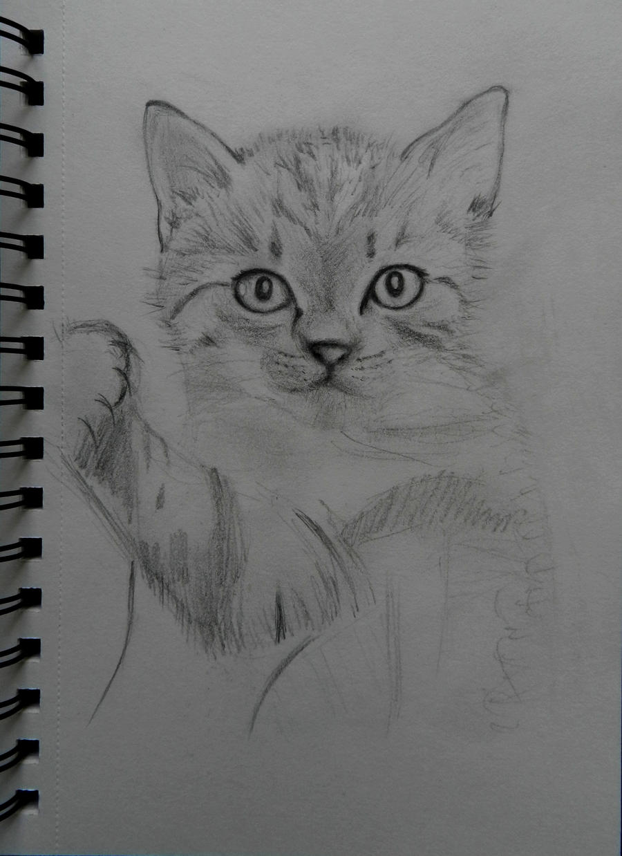 Sketch kitty