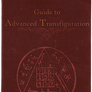 Guide Advanced Transfiguration