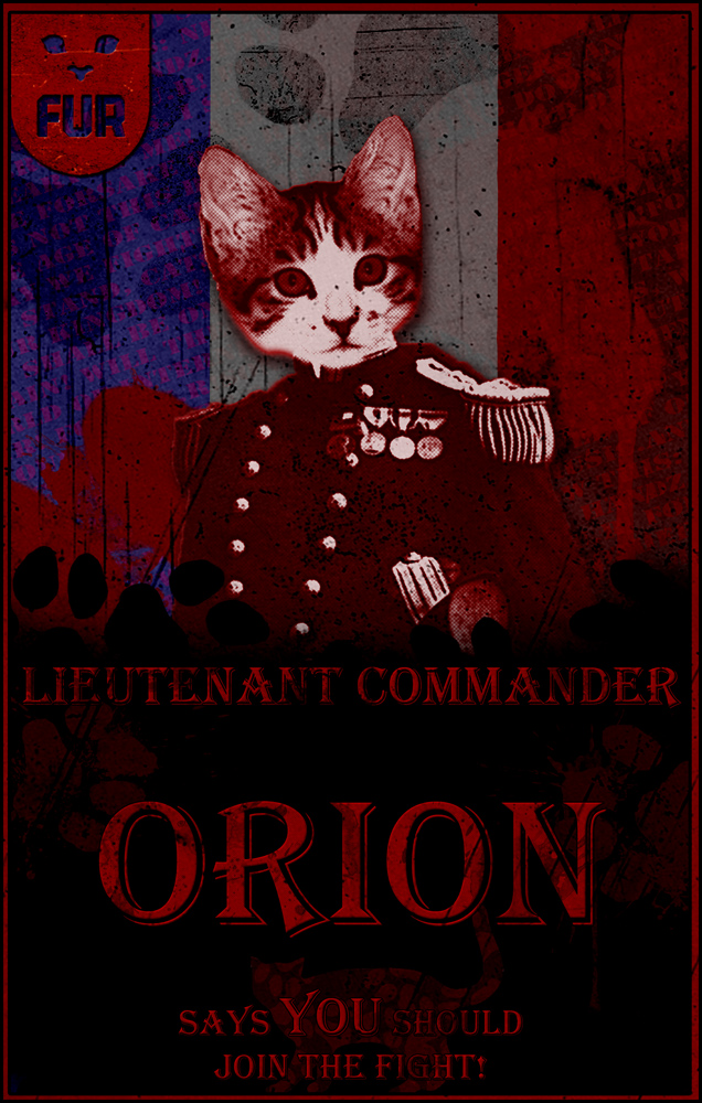 French Lieutenant Commander Orion