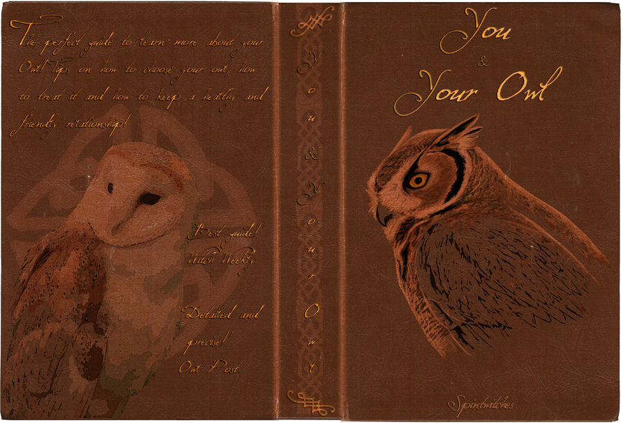 You and Your Owl FULL cover