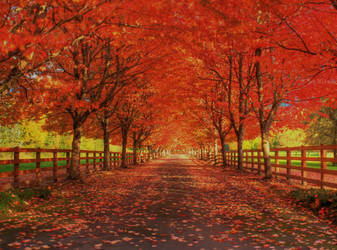 Rockwood Farm III by Telestic