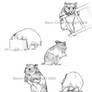 Hamsters 02