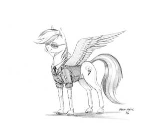 Patreon Reward. Dash in uniform by Baron-Engel