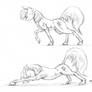 Carousel stretching 01