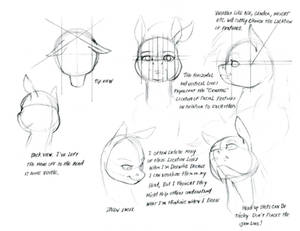 Notes on drawing MLP pony heads