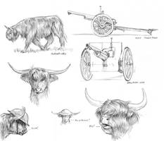 Highland Cattle and 75mm French studies