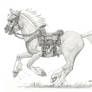 Epona
