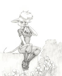 Spring is blooming