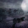 Neverstorm