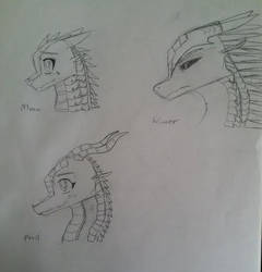 Wings Of Fire Sketches 2