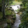 Garden of Mori Family30