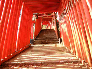 Torii5