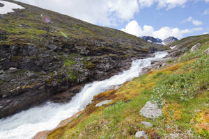 Mountain Stream