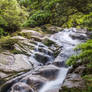 Yakushima Stream 4