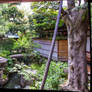 Garden of House Nomura - Hyper Stereo