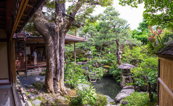 Garden of House Nomura