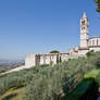 Greeting Profile of Assisi