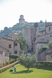 Lawn Mower of Assisi
