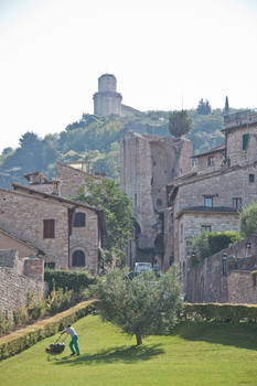 Lawn Mower of Assisi