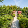 Tea Bush Path