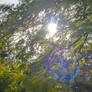 Helios Flare 2