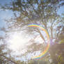 Helios Flare 1