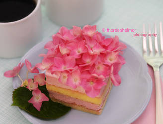 Strawberry Mousse Cake II by theresahelmer