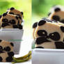Adorable Panda Cookies