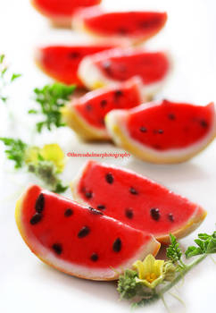 Watermelon Sorbet with Chocolate Chips