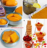 Mango Sorbet Tutorial