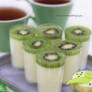 Panna Cotta with Kiwi