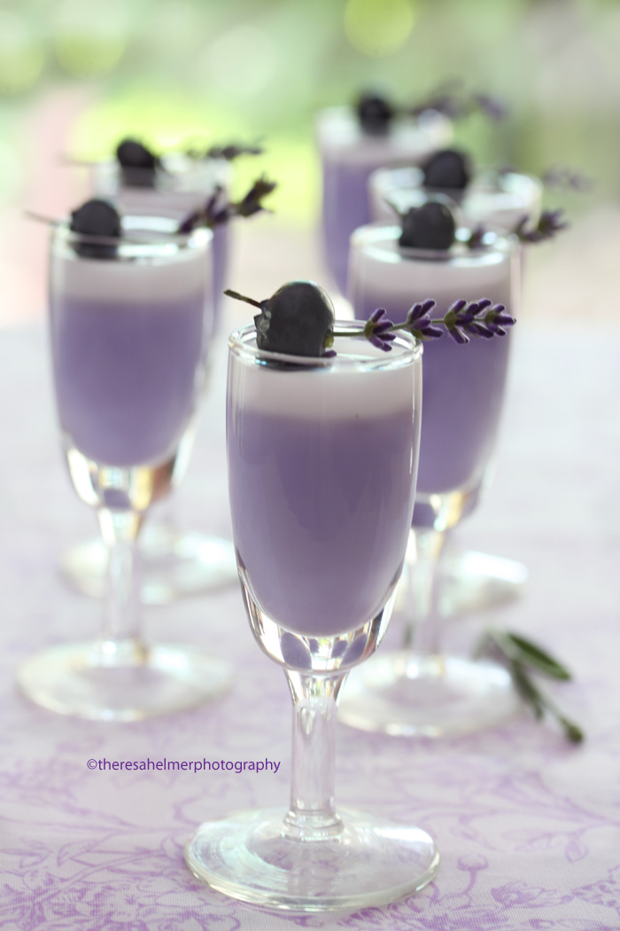 Lavender Infused Panna Cotta