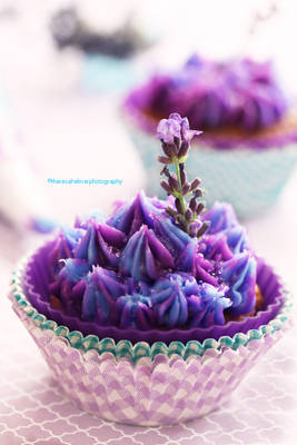 Lavender Honey Cupcake