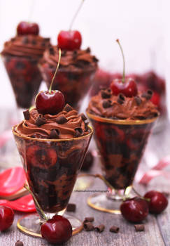 Black Forest Trifles (Recipe Included)