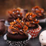 Maple Bacon Chocolate Cupcakes