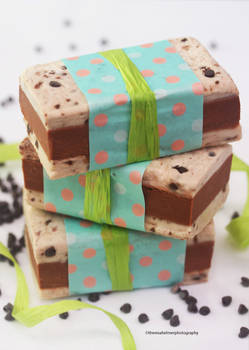 Giant Chocolate Chip Ice Cream Sandwiches