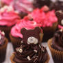 Dark Chocolate Raspberry Cupcakes