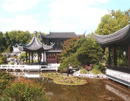 Chinese Garden II