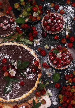 Garden Raspberry Chocolate Ganache Tart