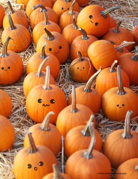 Hanging Out With Friends