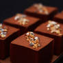 Coffee Cheesecake Blocks Topped with Hazelnuts