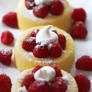 Raspberry Shortcake