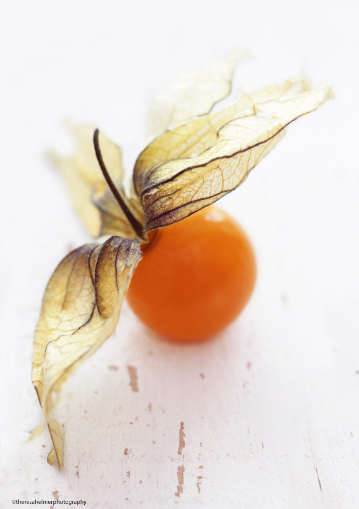 Cape Gooseberry